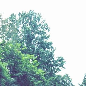 Meet your Posher, George